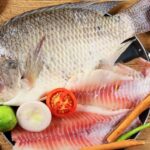 apollo-FIsh-Images-and-Benefits-in-telugu