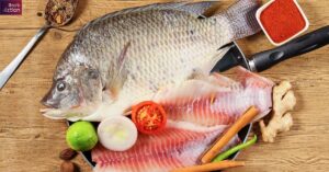 apollo-FIsh-Images-and-Benefits-in-telugu