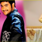 simhadri-movie-ntr-heroine