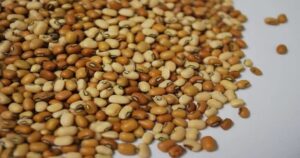 Alasandalu: Benefits, Images, Uses in Telugu