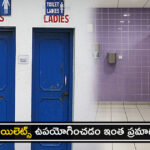 danger-of-using-public-toilet