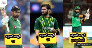 Pakistan Cricketers Education Qualifications