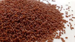 Halim Seeds Uses, benefits , Images in Telugu