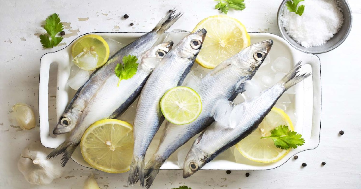 Sardine Fish in Telugu సార్డిన్ చేప గురించి ఈ విషయాలు తెలుసా?