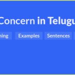 concern-in-Telugu