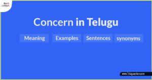 concern-in-Telugu