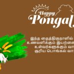 Happy Pongal 2024 Wishes and Images in Tamil (1)