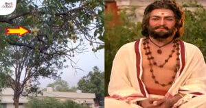 veerabramhendraswamy