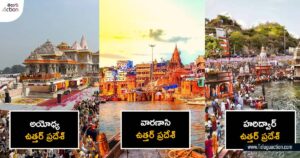 indian-tourist-places-where-non-veg-food-not-available (1)